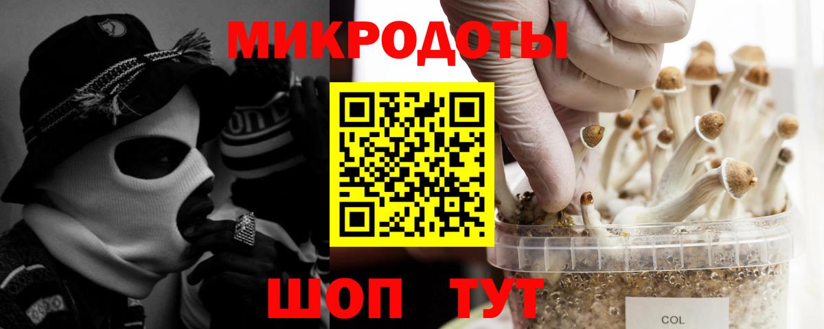 Галлюциногенные грибы мицелий Мелеуз